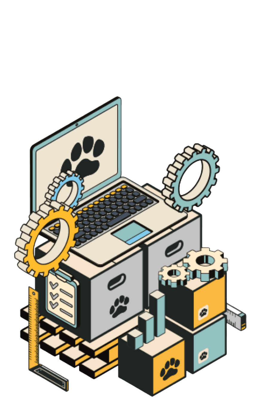 Soporte & Mantenimiento
